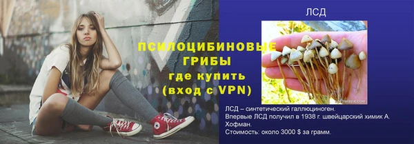 амф Осташков
