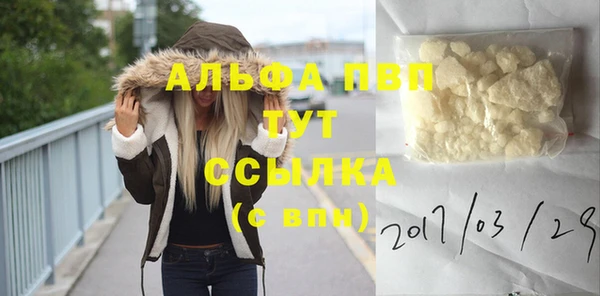 амф Осташков