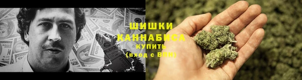 амф Осташков