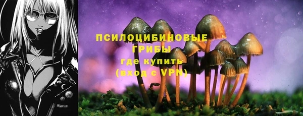 амф Осташков