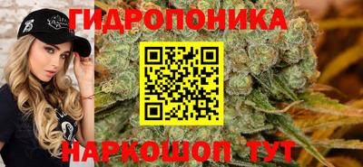 гашик Кунгур