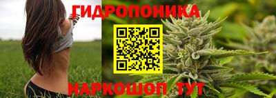спайс Абакан