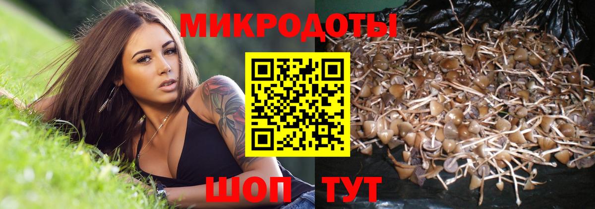 закладки  Псилоцибиновые грибы прущие грибы  Вход с VPN  Сальск 