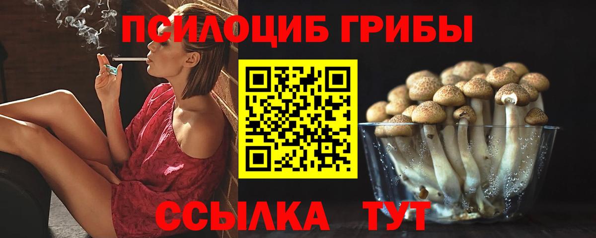 Псилоцибиновые грибы мухоморы Сальск