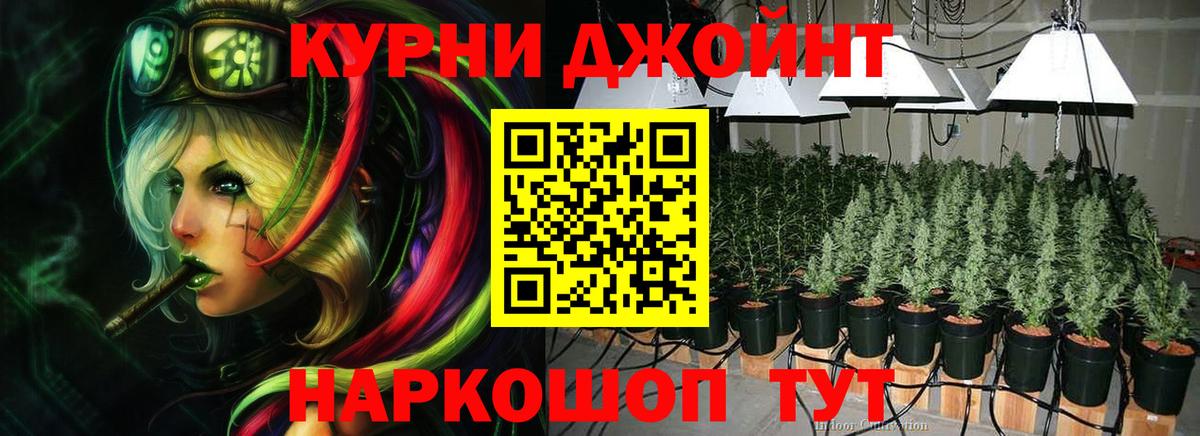 Конопля конопля  Бошки марихуана гибрид  Вход с VPN  Шишки марихуана OG Kush  Сальск  Каннабис сатива 